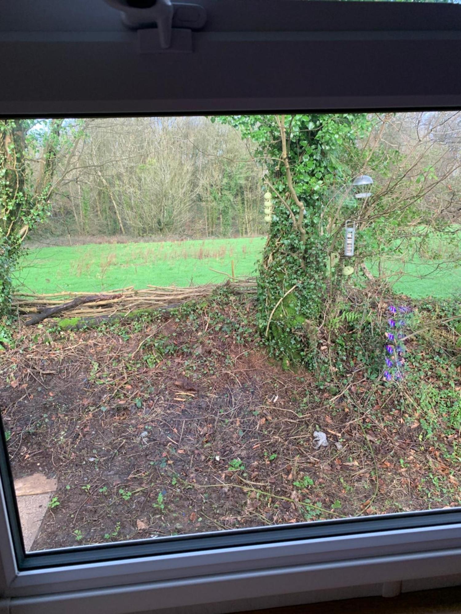 4 Devon Country, Bideford Bay Holiday Park Bucks Mills 외부 사진