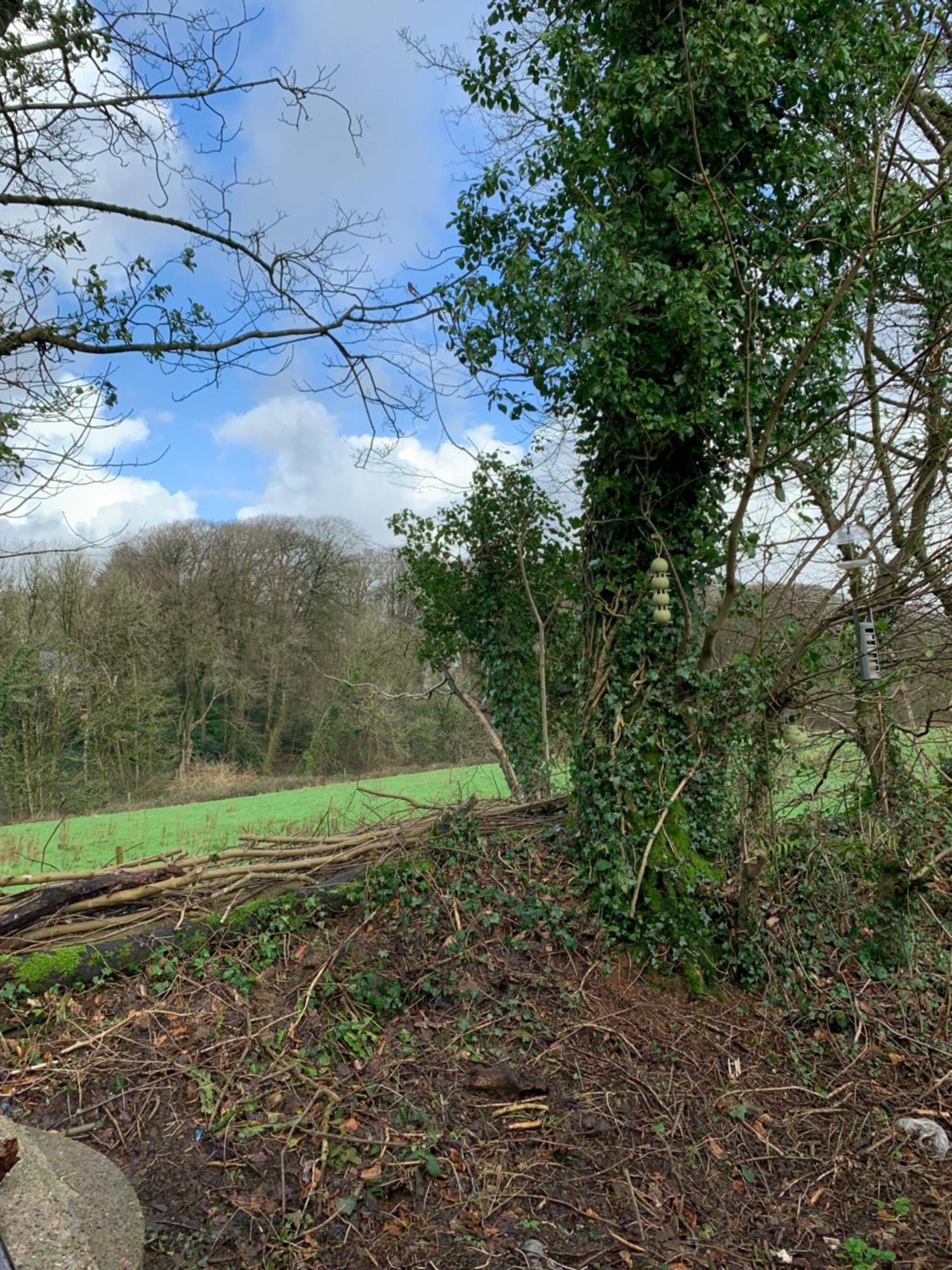 4 Devon Country, Bideford Bay Holiday Park Bucks Mills 외부 사진